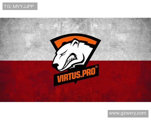 深入解析CSGO巨献V5战队的战术配合与团队默契