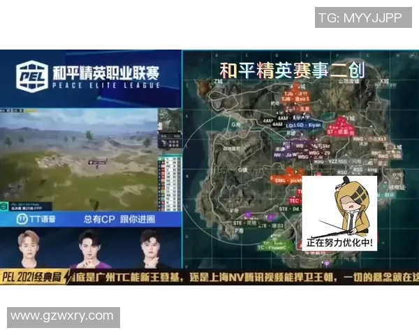 电竞实时数据引发热议和平精英RNG意识变革的深度解析与展望